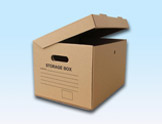 custom cartons packaging